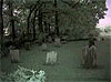 AfterDark Paranormal Investigations Graveyard