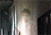 Japanese Apparition