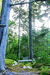 Ghostly Swing In Pulau Ubin