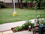 View of apartment from my patio door 1