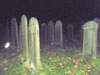 The Old Graveyard 4